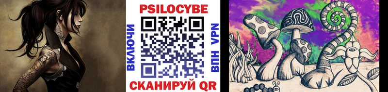 omg как войти  Эртиль  Галлюциногенные грибы Psilocybine cubensis  что такое наркотик 